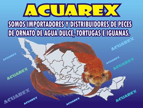 Acuarex Logo
